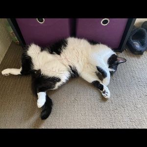 Meet your Posher, Alex